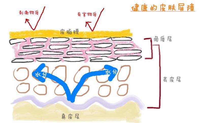 軍事迷的護(hù)膚解讀：我將合理清潔、保濕、防曬